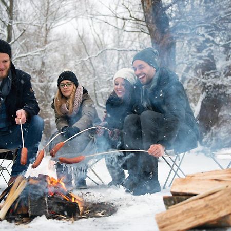 Forest Chalet, 15 Min To Salzburg Olt Town, And Most Beautiful Lakes, Secluded Location, 1,000 Sqm Garden, Mountainview, Panorama Sauna, Bath Whirlpool, Bbq&Bikes&Sunbeds For Free, Up To 10 P Golling an der Salzach Eksteriør bilde