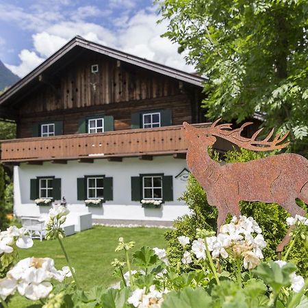 Forest Chalet, 15 Min To Salzburg Olt Town, And Most Beautiful Lakes, Secluded Location, 1,000 Sqm Garden, Mountainview, Panorama Sauna, Bath Whirlpool, Bbq&Bikes&Sunbeds For Free, Up To 10 P Golling an der Salzach Eksteriør bilde