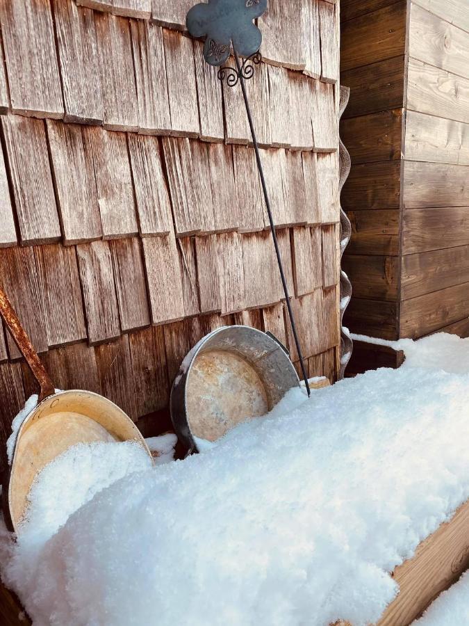 Forest Chalet, 15 Min To Salzburg Olt Town, And Most Beautiful Lakes, Secluded Location, 1,000 Sqm Garden, Mountainview, Panorama Sauna, Bath Whirlpool, Bbq&Bikes&Sunbeds For Free, Up To 10 P Golling an der Salzach Eksteriør bilde
