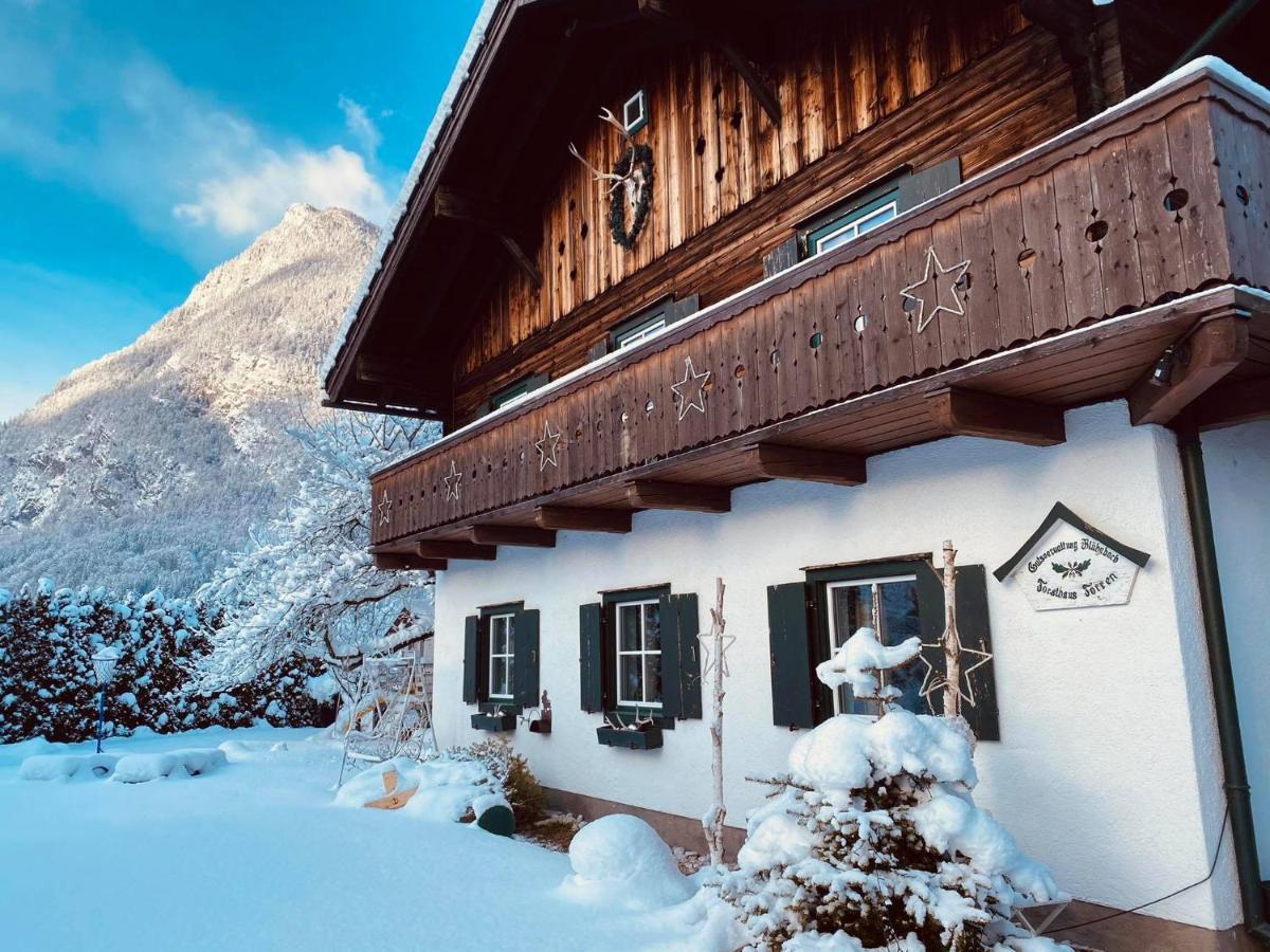 Forest Chalet, 15 Min To Salzburg Olt Town, And Most Beautiful Lakes, Secluded Location, 1,000 Sqm Garden, Mountainview, Panorama Sauna, Bath Whirlpool, Bbq&Bikes&Sunbeds For Free, Up To 10 P Golling an der Salzach Eksteriør bilde
