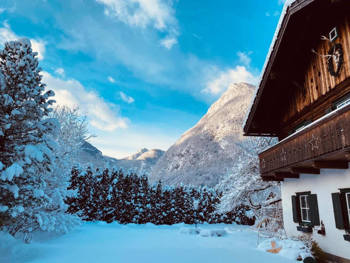 Forest Chalet, 15 Min To Salzburg Olt Town, And Most Beautiful Lakes, Secluded Location, 1,000 Sqm Garden, Mountainview, Panorama Sauna, Bath Whirlpool, Bbq&Bikes&Sunbeds For Free, Up To 10 P Golling an der Salzach Eksteriør bilde