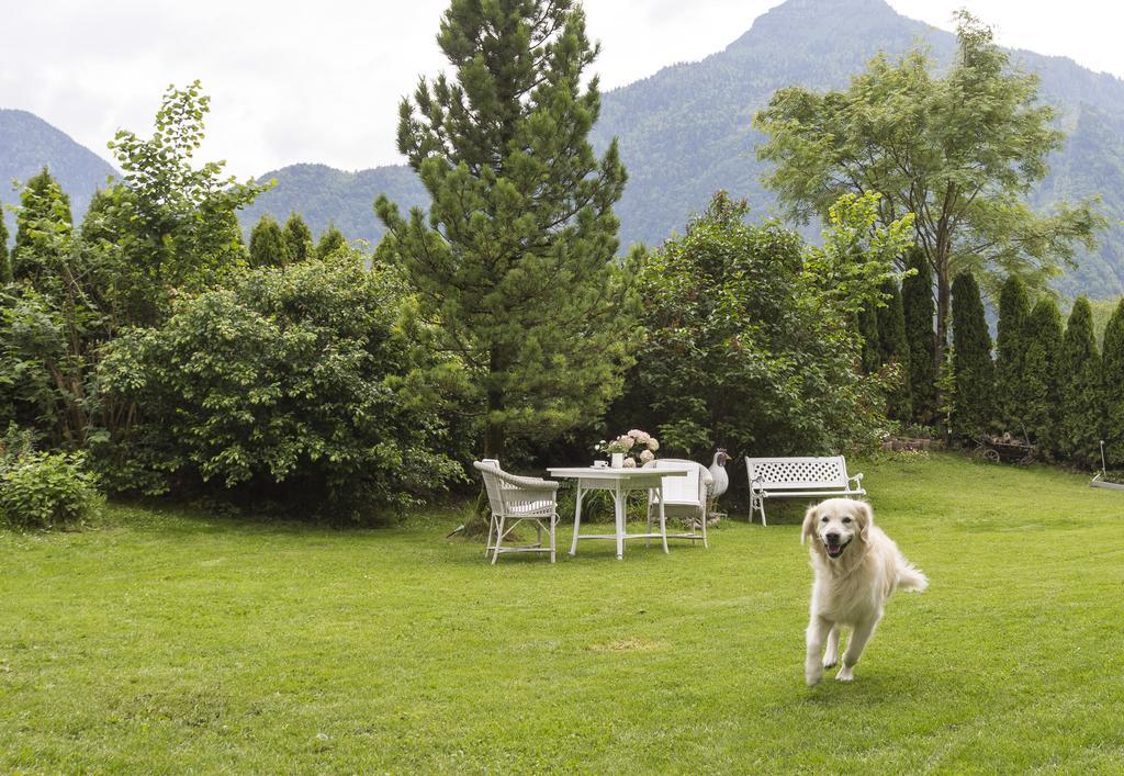 Forest Chalet, 15 Min To Salzburg Olt Town, And Most Beautiful Lakes, Secluded Location, 1,000 Sqm Garden, Mountainview, Panorama Sauna, Bath Whirlpool, Bbq&Bikes&Sunbeds For Free, Up To 10 P Golling an der Salzach Eksteriør bilde