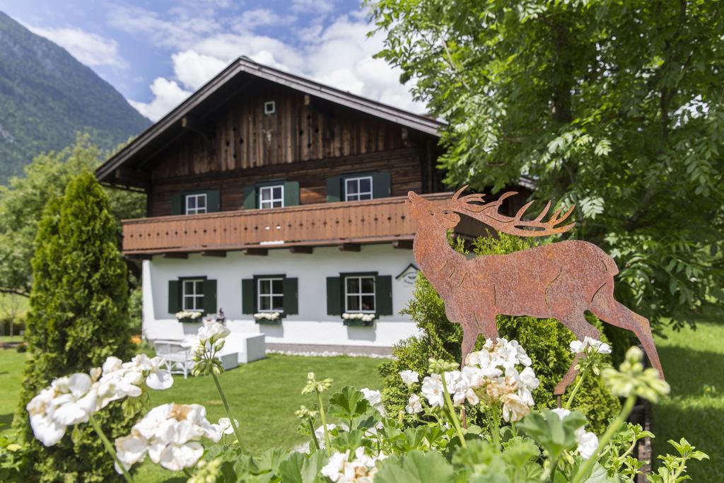 Forest Chalet, 15 Min To Salzburg Olt Town, And Most Beautiful Lakes, Secluded Location, 1,000 Sqm Garden, Mountainview, Panorama Sauna, Bath Whirlpool, Bbq&Bikes&Sunbeds For Free, Up To 10 P Golling an der Salzach Eksteriør bilde