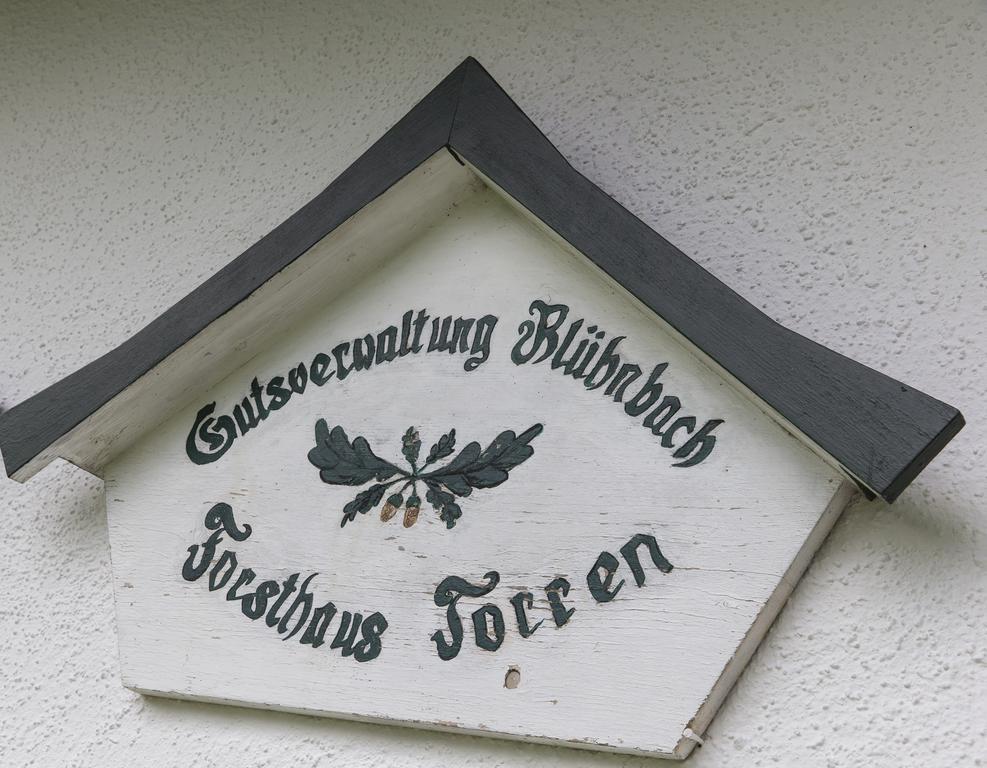 Forest Chalet, 15 Min To Salzburg Olt Town, And Most Beautiful Lakes, Secluded Location, 1,000 Sqm Garden, Mountainview, Panorama Sauna, Bath Whirlpool, Bbq&Bikes&Sunbeds For Free, Up To 10 P Golling an der Salzach Eksteriør bilde