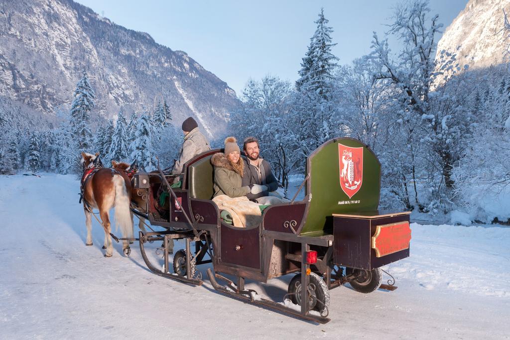 Forest Chalet, 15 Min To Salzburg Olt Town, And Most Beautiful Lakes, Secluded Location, 1,000 Sqm Garden, Mountainview, Panorama Sauna, Bath Whirlpool, Bbq&Bikes&Sunbeds For Free, Up To 10 P Golling an der Salzach Eksteriør bilde