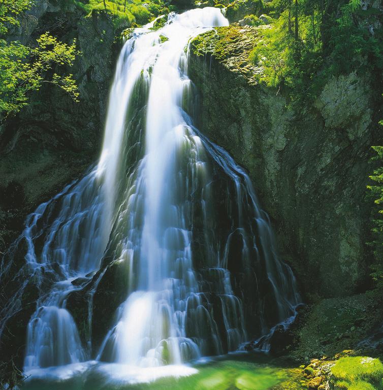 Forest Chalet, 15 Min To Salzburg Olt Town, And Most Beautiful Lakes, Secluded Location, 1,000 Sqm Garden, Mountainview, Panorama Sauna, Bath Whirlpool, Bbq&Bikes&Sunbeds For Free, Up To 10 P Golling an der Salzach Eksteriør bilde